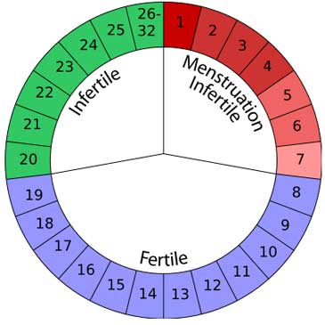 Natyesri Fertilitate Si Ovulatie